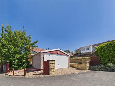 Picture 23